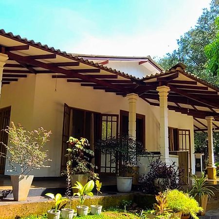 Greenville Resort And Spa Dambulla Buitenkant foto