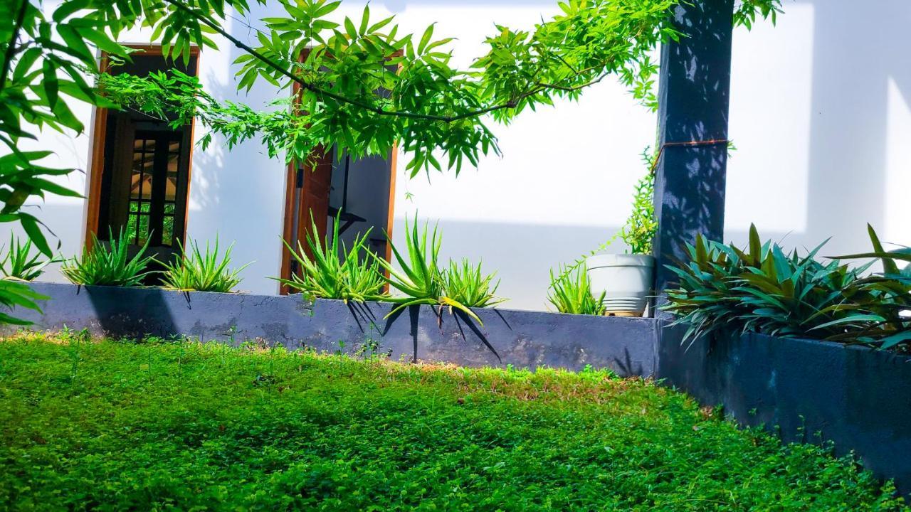 Greenville Resort And Spa Dambulla Buitenkant foto