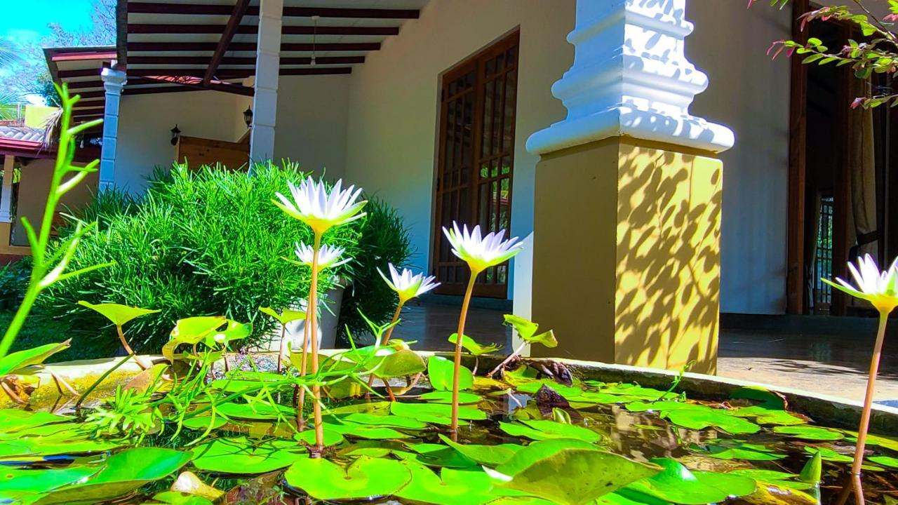 Greenville Resort And Spa Dambulla Buitenkant foto